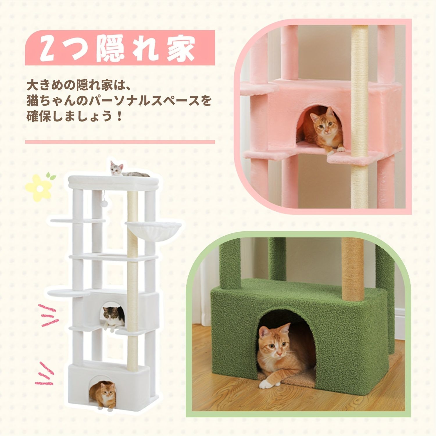 発送PAWZRoad