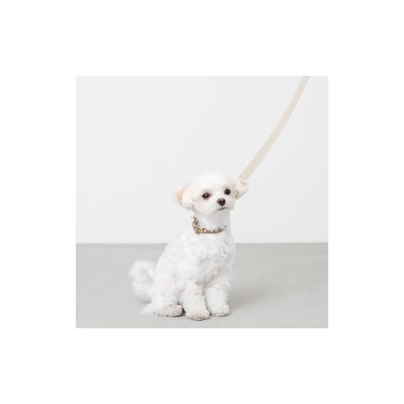 犬 リード