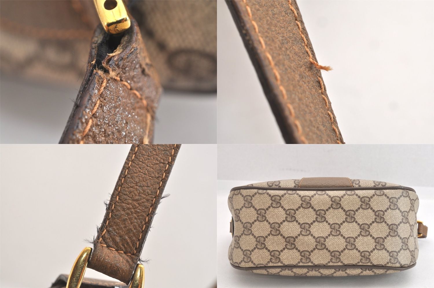 ウェブ シェリーライン