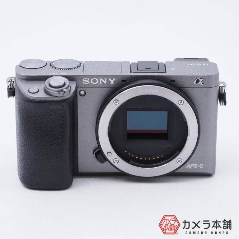 SONY α6000 ILCE-6000 グラファイトグレー & 純正ケース - ミラーレス一眼