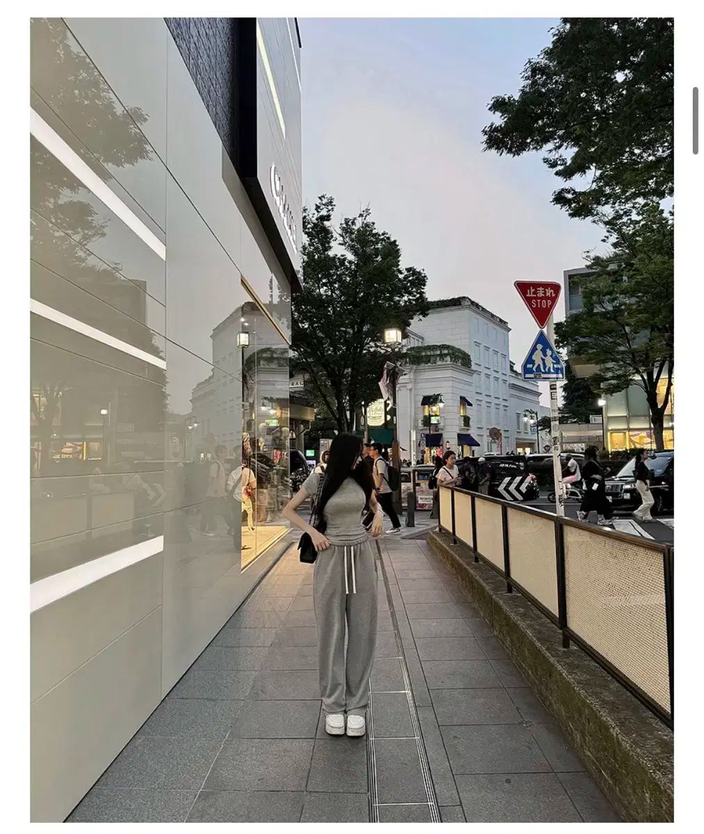 クラシック トレーニング