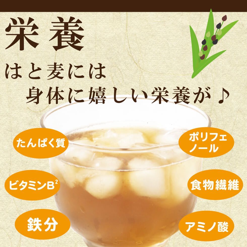 はと麦茶 5g×60P ～ 送料無料 はとむぎ茶 ティーバッグ はとむぎ