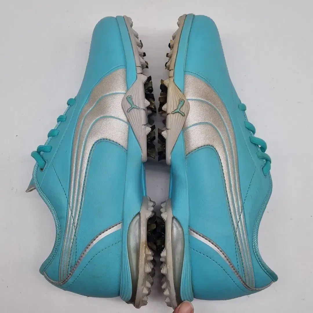 生徒会の一存 桜野くりむ 直筆サイン入り 色紙 台湾限定 抽選 当選品