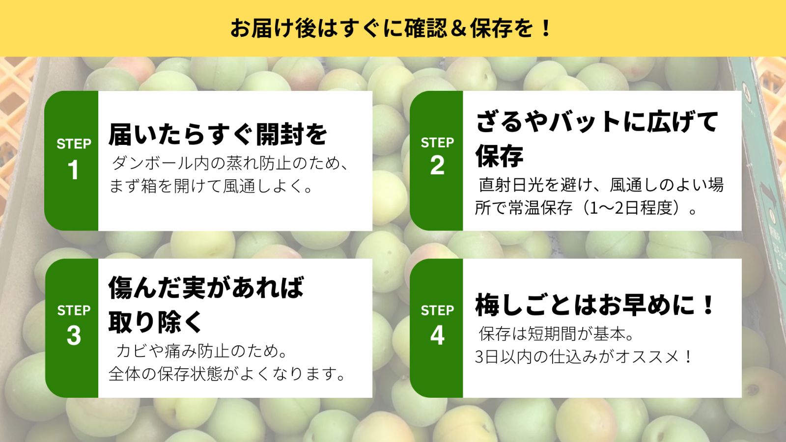【お年玉セール特価】 5月中旬～発送予定【2025年度】甲州小梅 5kg 青梅～黄梅(中熟) 果物