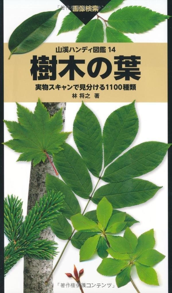 樹木の葉 実物スキャンで見分ける1100種類 山溪ハンディ図鑑