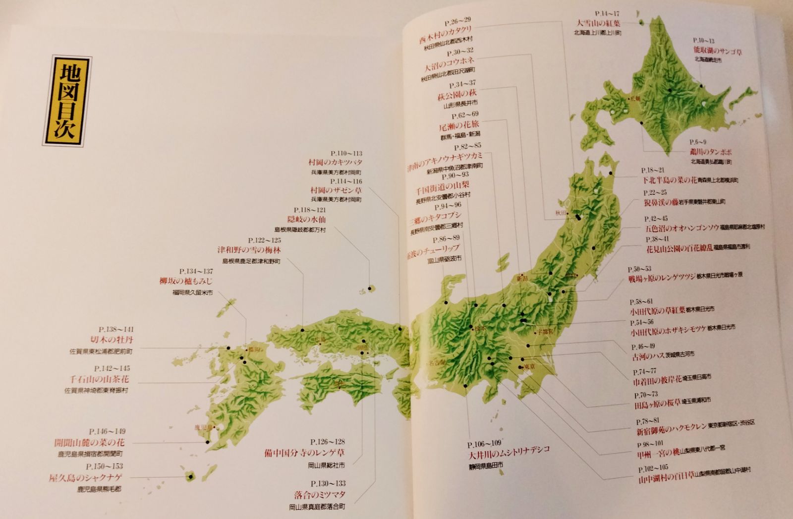 サライ　誰も行かない日本一の風景　花景色