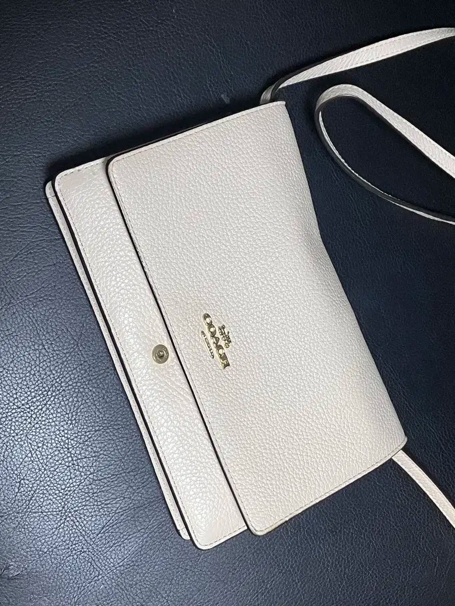 COACH コーチ クロスバッグ ミニ