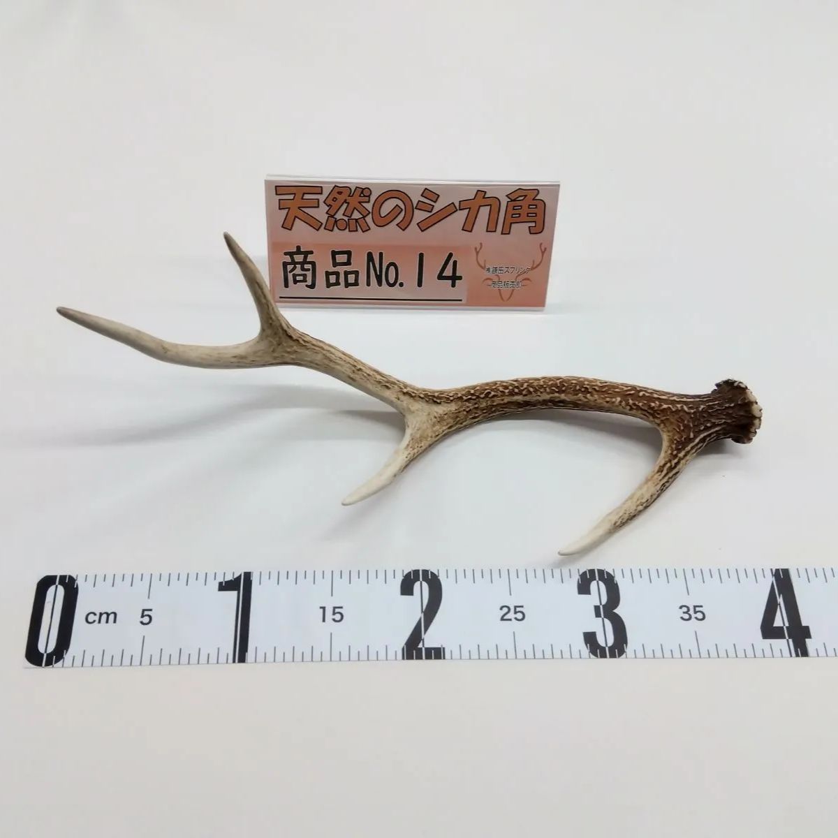 天然 鹿の角 三段角 No.14 - メルカリ
