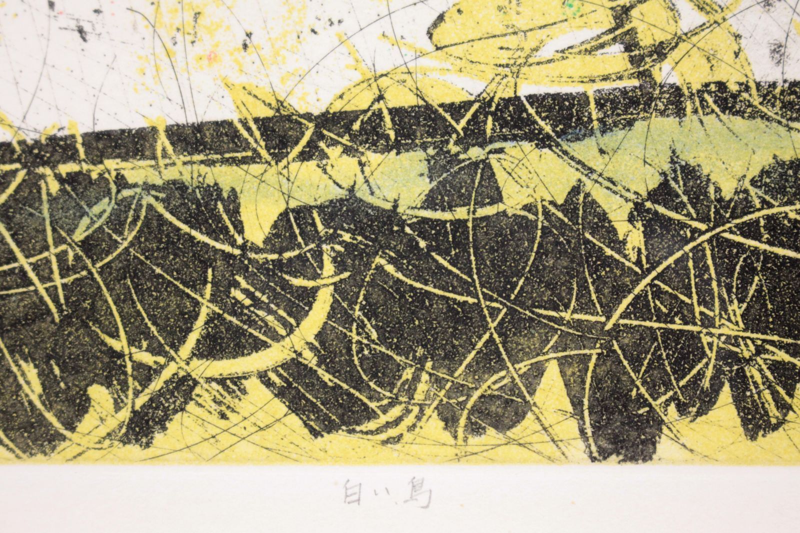 渋谷栄一 銅版画『白い鳥』【真作保証】 絵画 - メルカリ