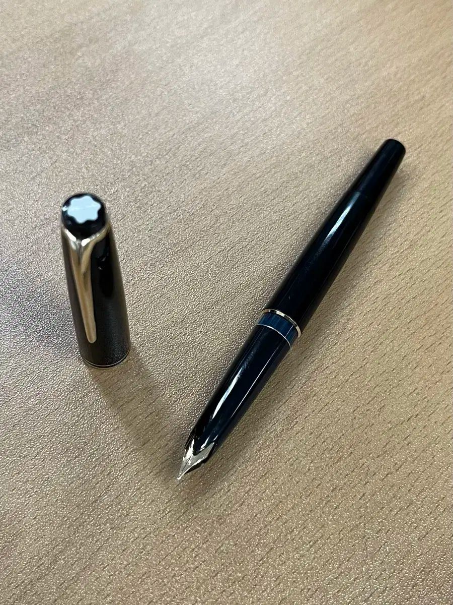 Montblanc モンブラン 万年筆 22