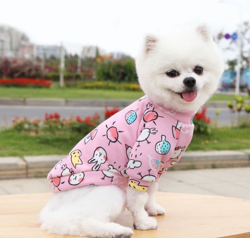 大人気　新作　可愛い 小中型犬服 ドッグウェア 裏起毛　うさぎ　クマ　イチゴ　M