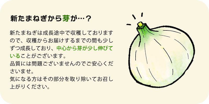 【平成７年４月下旬から早生品種】【あさひ】10kg 淡路島新たまねぎ 特別栽培 わせ品種 ★収穫次第ご購入順に発送★1週間程度で食してください★フォロワー様ショップクーポンもご利用くださいませ