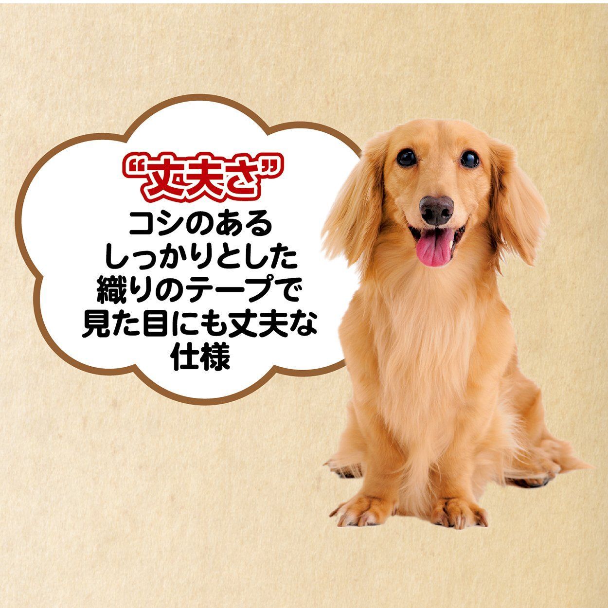 スターベストハーネス