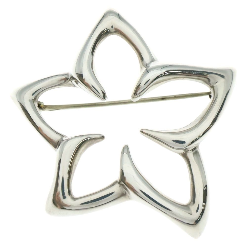 TIFFANY-Co ティファニー プルメリア ブローチ ピンバッジ シルバー SV925 15.6g