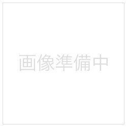 未使用・未開封品) HITACHI 空気清浄機交換用フィルター EPF-205LB