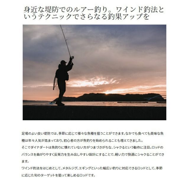 シマノ ダイナダート S80MH | 釣具 釣り フィッシング - メルカリ