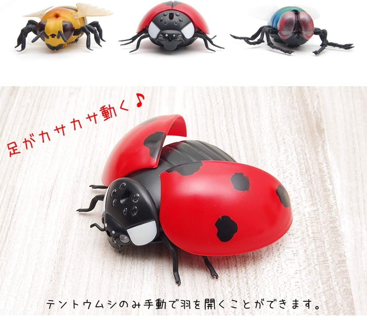 大人気新品 新品 未使用 Goodsland 3type リアル 昆虫 テントウムシ その他 Www Bergenvarmesenter No Www Bergenvarmesenter No