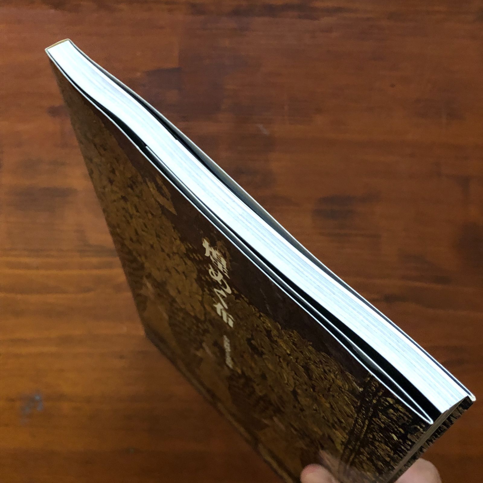 平山作品 煌めく布 : 金更紗と金糸織 2006.3 124p 平山郁夫シルクロ-ド