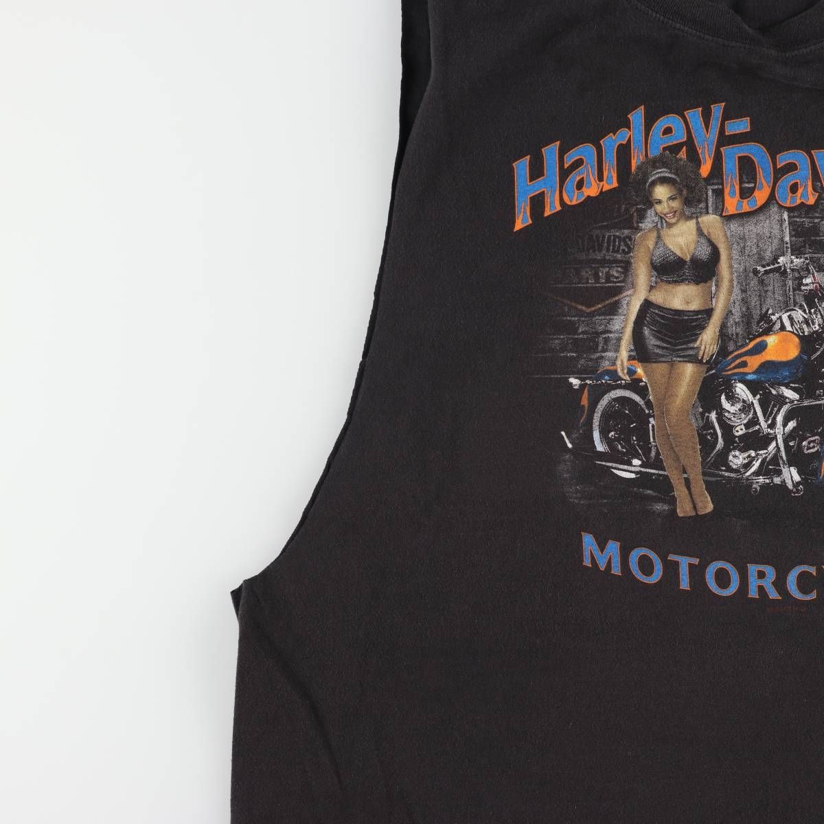 古着 ハーレーダビッドソン Harley-Davidson ピンナップガール カット 