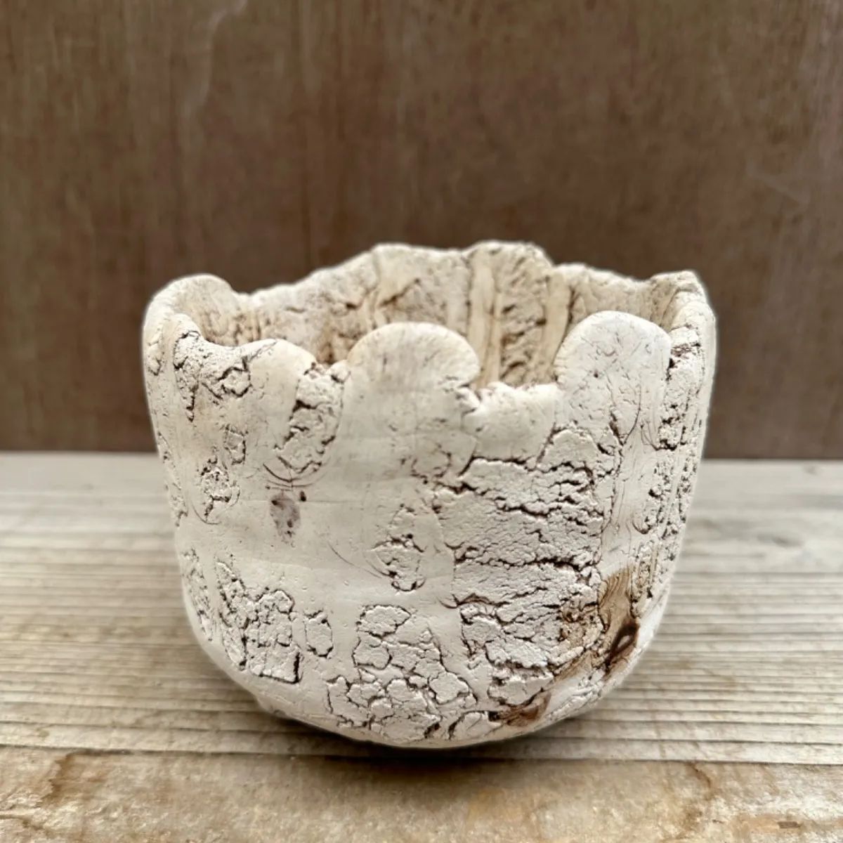 プランツモンスターポット鉢①