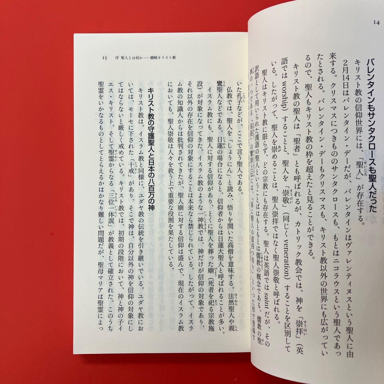 キリスト教の100聖人 人名でわかる歴史と教え ym_b13_5166