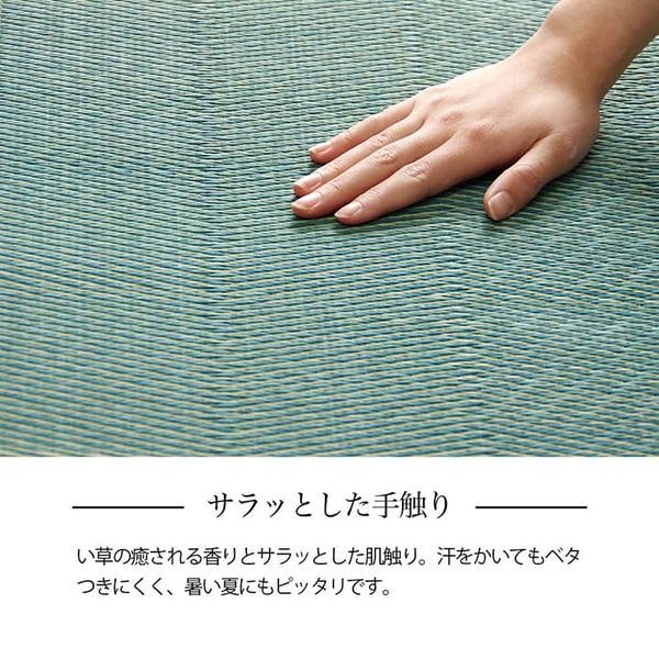 い草ラグ 花ござ カーペット 格子柄 ナチュラル シンプル 和室 洋室 裏不織布滑り止め 滑りにくい 抗菌防臭 消臭 本間6畳(約286×382cm) レイクブルー