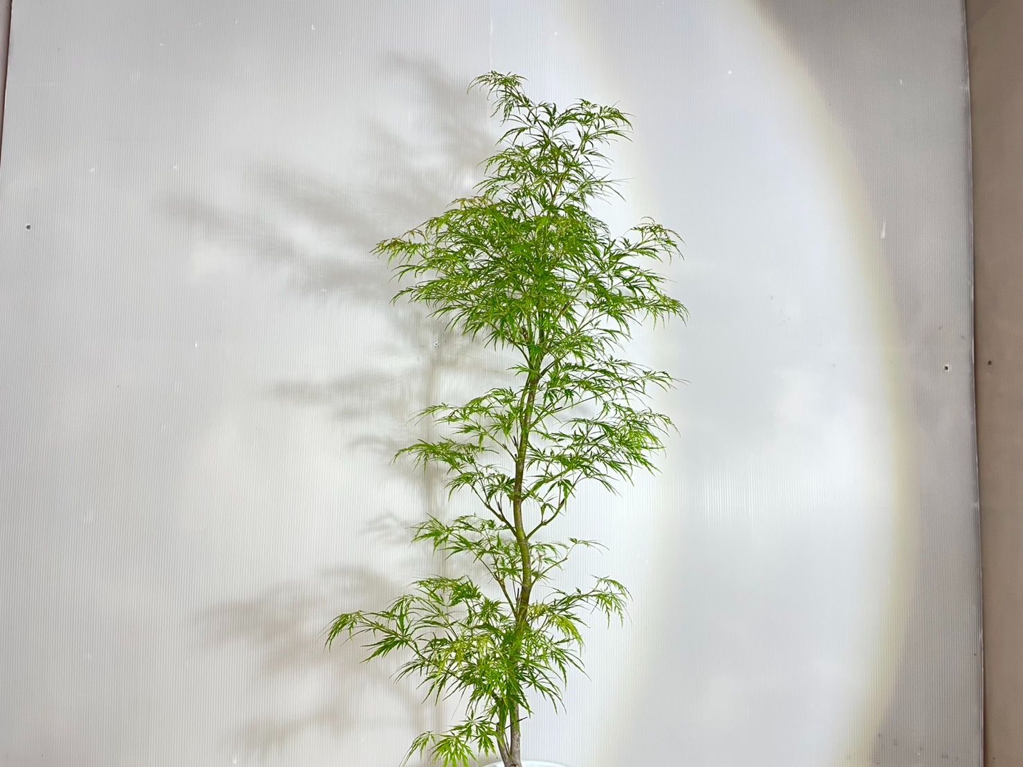 幅0.4ｍ