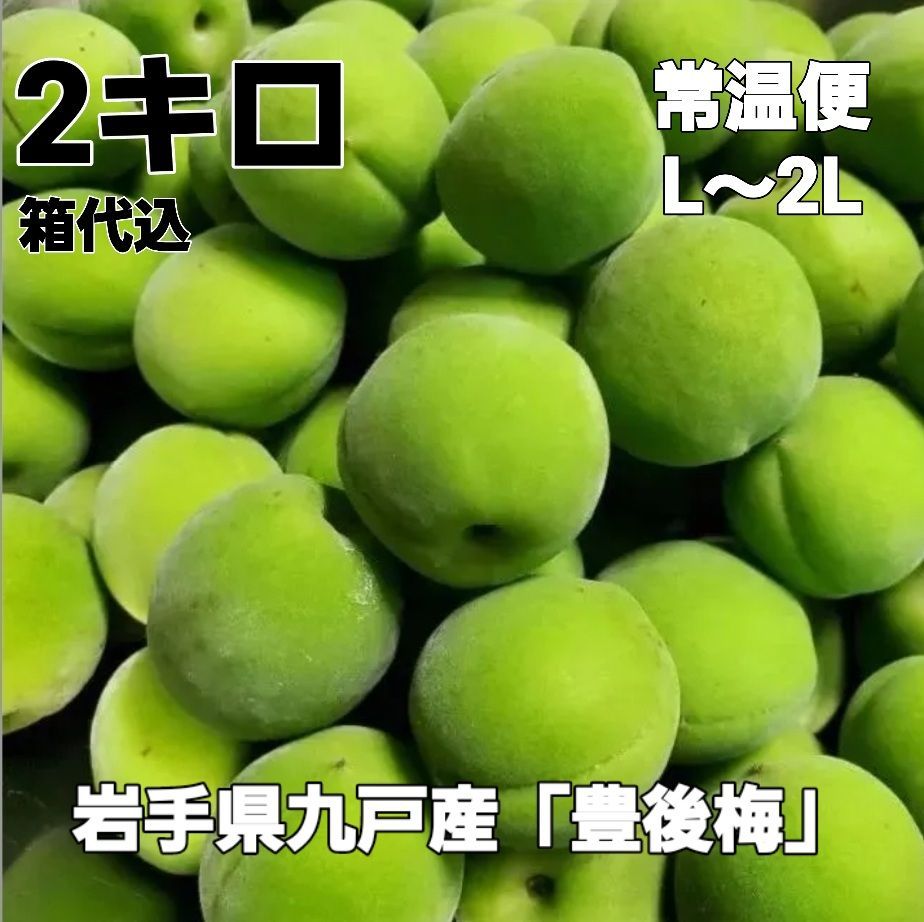 常温配送◇岩手県九戸村名産「豊後梅」L~2L~青梅 2キロ箱代込 ...