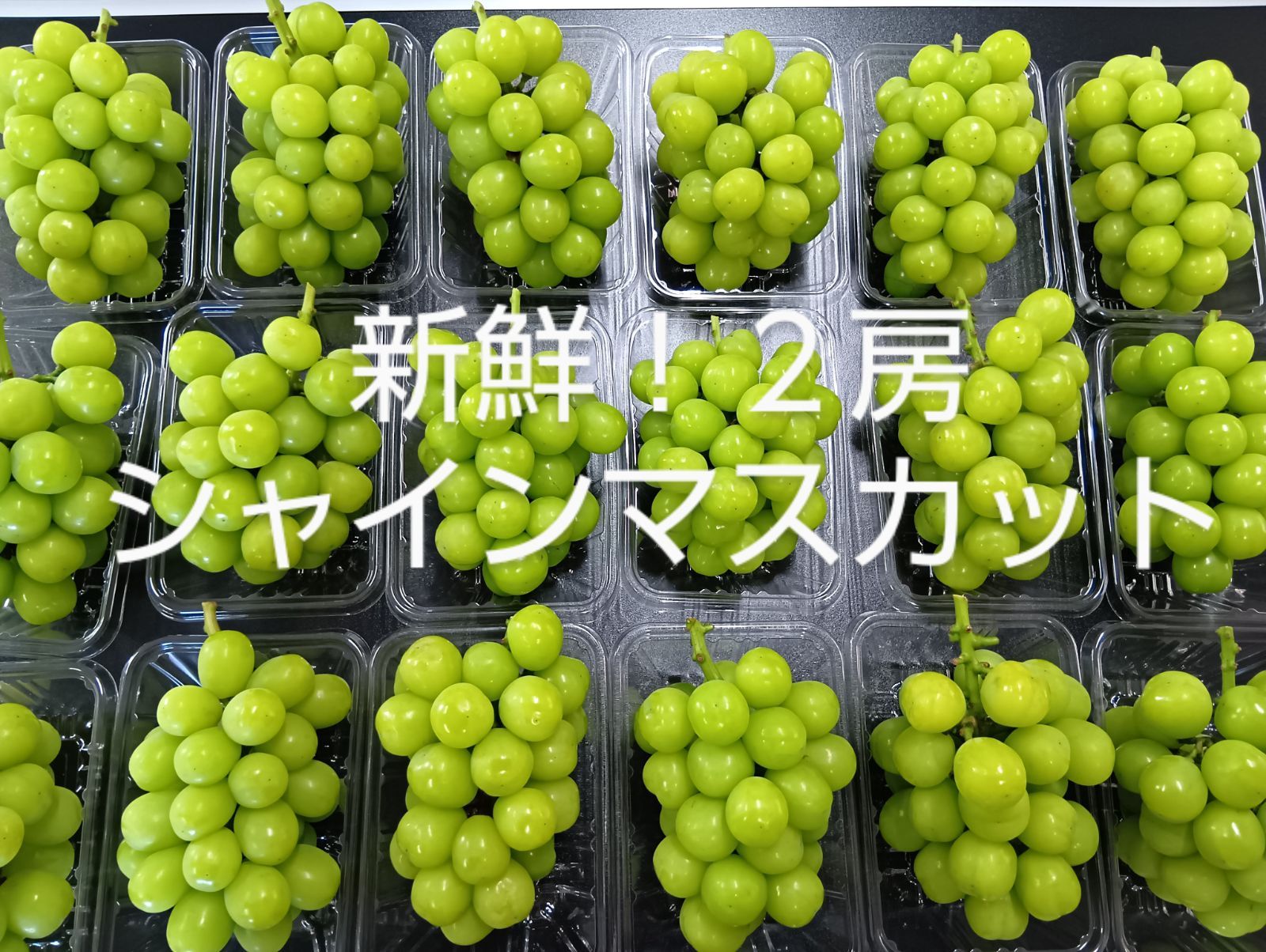 シャインマスカット2房】ぶどう 福岡県産 シャインマスカット