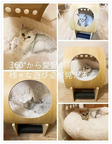 爪とぎ付き クッション付き 木製 ウォールナット 透明宇宙船 ベッド 可愛い オシャレ 猫 通気性 ツリー）猫宇宙船ハウス ペット休憩所 キャットタワー Tree（レインボー 組立簡単 Rainbow 日本語取扱説明書付き