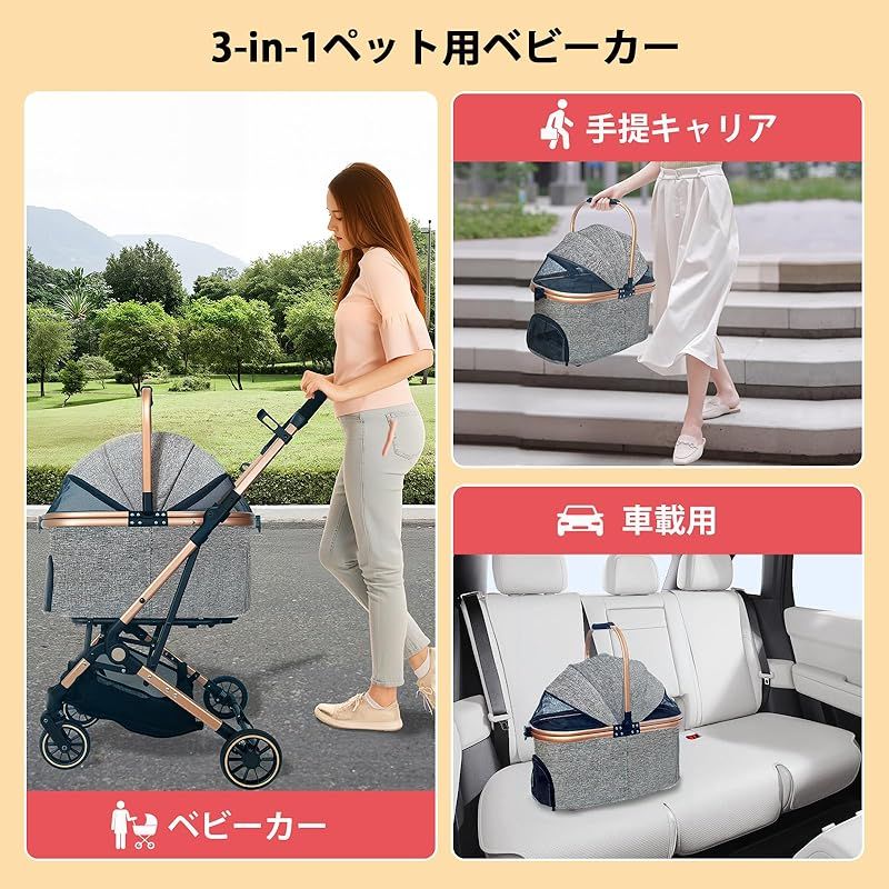 多頭の小型犬-猫