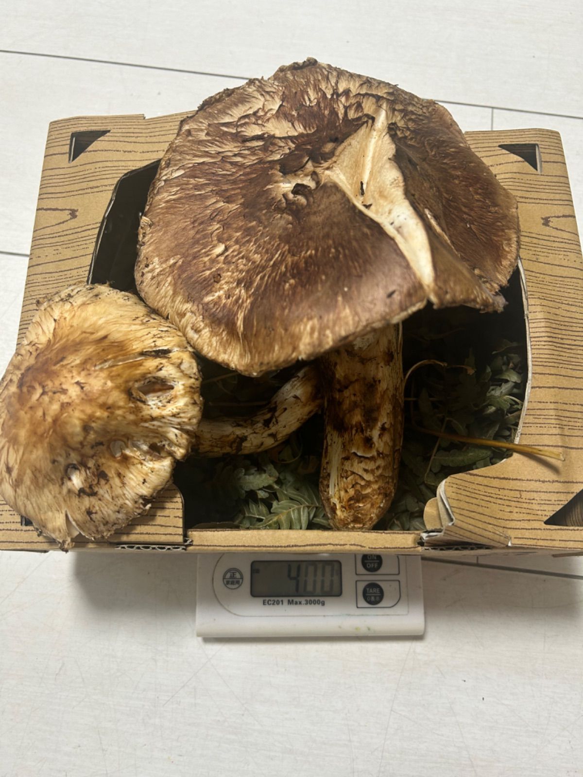 新鮮長野産松茸 400g 【公式通販】 新鮮長野産松茸 400g 【公式通販】
