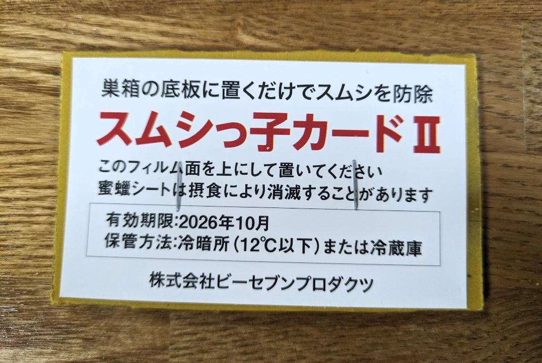 スムシっ子カードⅡ ２枚入り 大容量 10セット