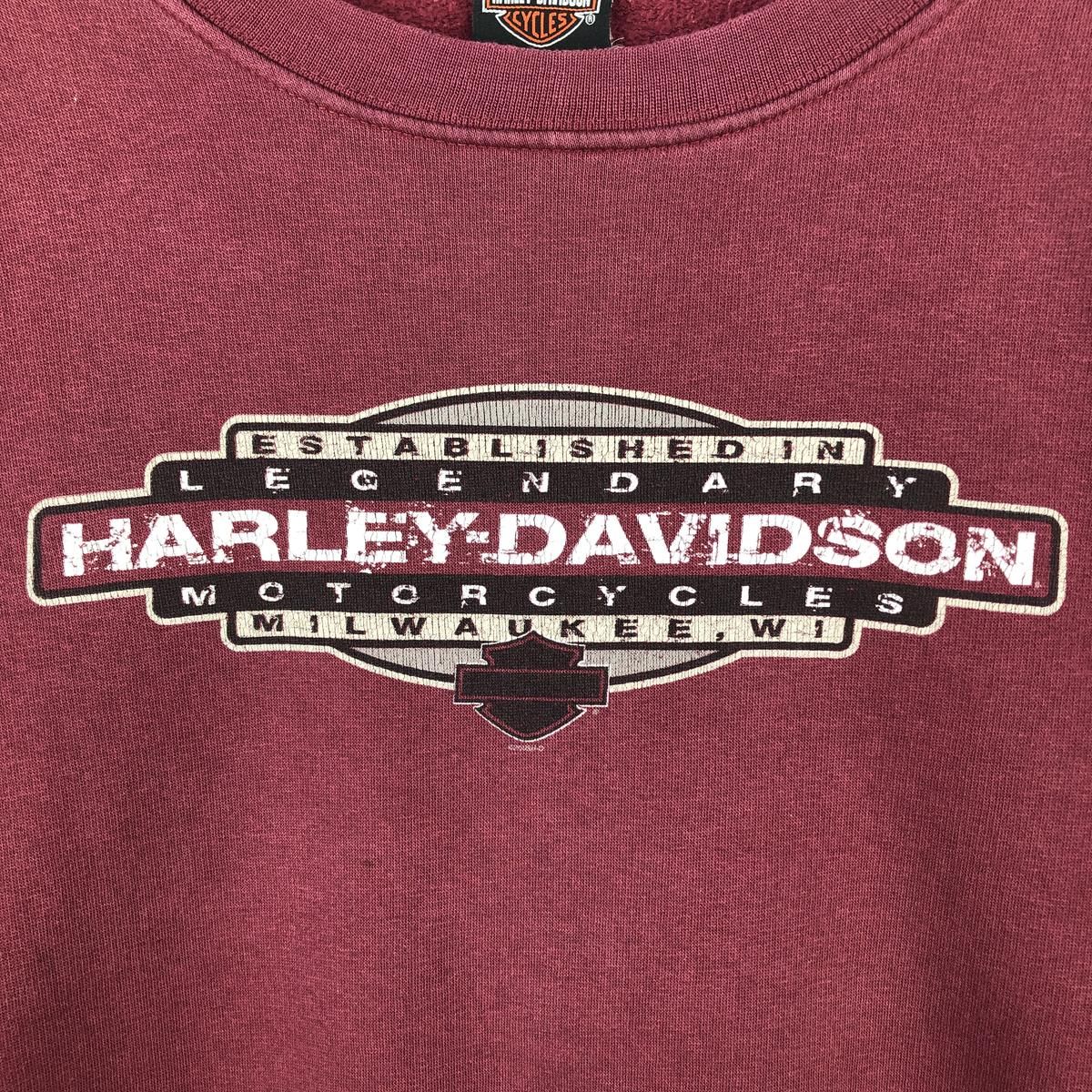 古着 00年代 ハーレーダビッドソンHarley-Davidson 鷲柄 イーグル柄