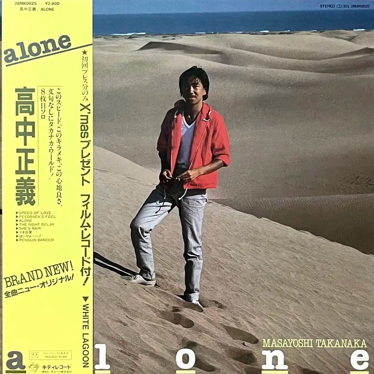 高中正義 /ブラジリアン・スカイズ レコード 高中正義 ブラジリアン