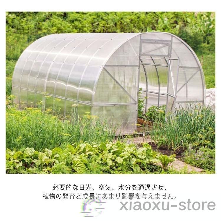 農業 苗