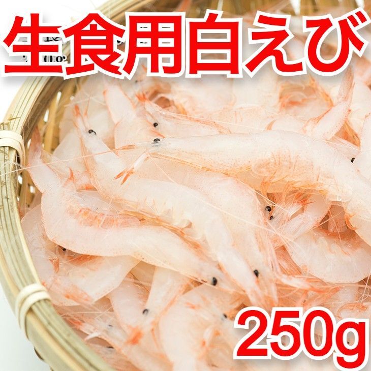 冷凍 訳あり 刺身用 白えび生冷 250g 台湾産 富山湾の宝石 白海老 海鮮