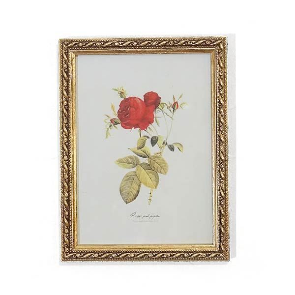 絵画 インテリア 額入り イタリア製 薔薇額絵：ゴールド枠 アクリル板（ローズ・レッド）絵画 花 - メルカリ