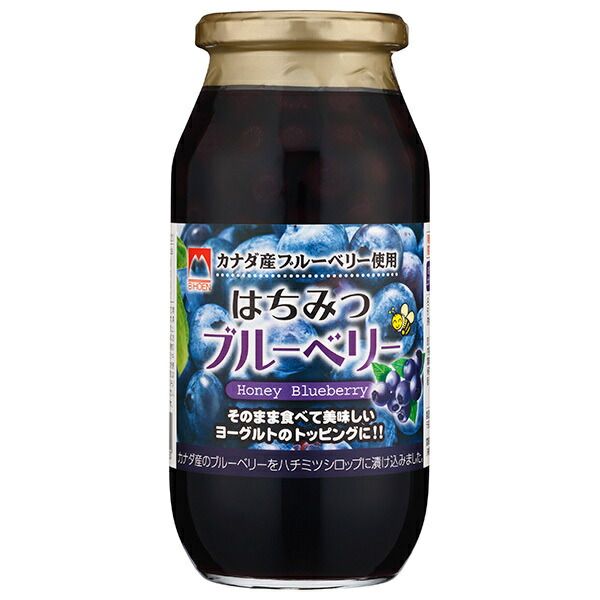 加藤美蜂園 はちみつブルーベリー 650g瓶×6本入× 2ケース ｜ 嗜好品 シロップ 瓶 ハチミツ 蜂蜜 プルーベリー＆ハニー