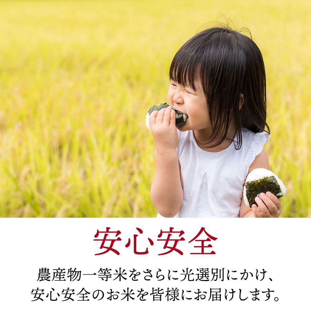 山形県産 コシヒカリ