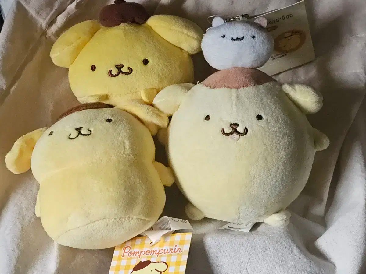 【雷市場（ポンジャン）商品韓国直送】 ポムポムプリン まんまる マスコット 狙われた もち人形 + ダムドール