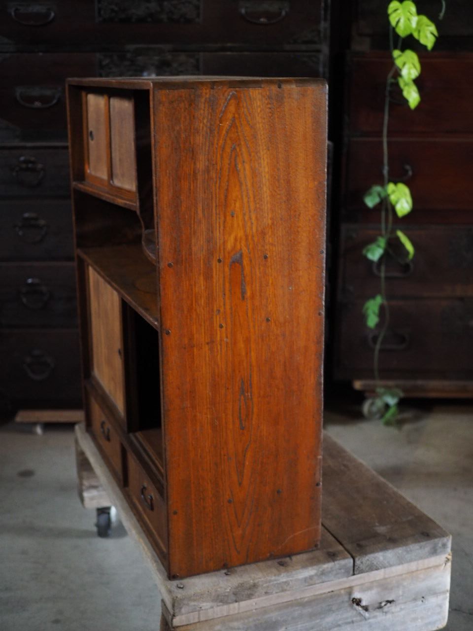 古録展 品番S10818