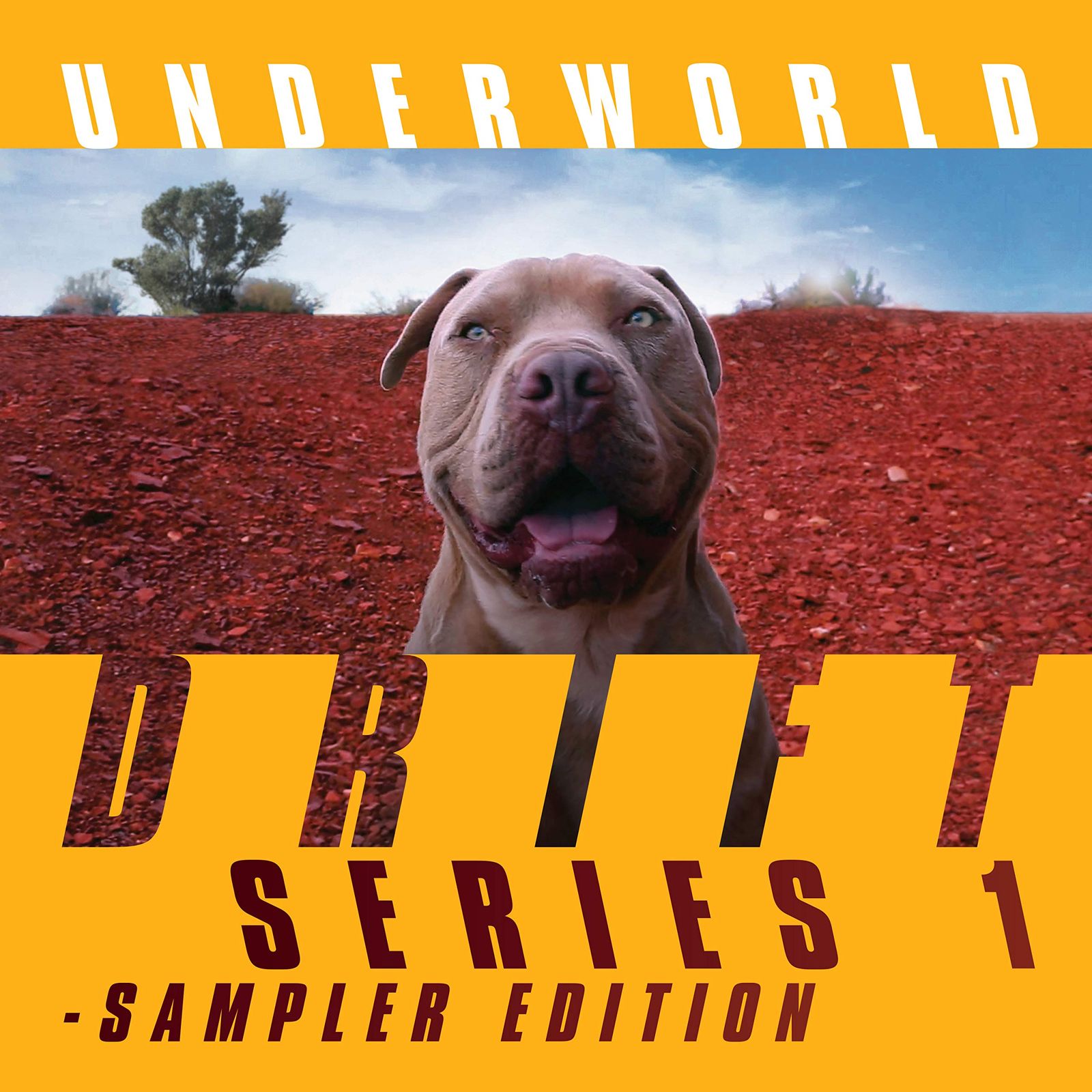 DRIFT SERIES 1 - SAMPLER EDITION 解説付 | デラックス エディション | 2CD | 盤 BRC600A