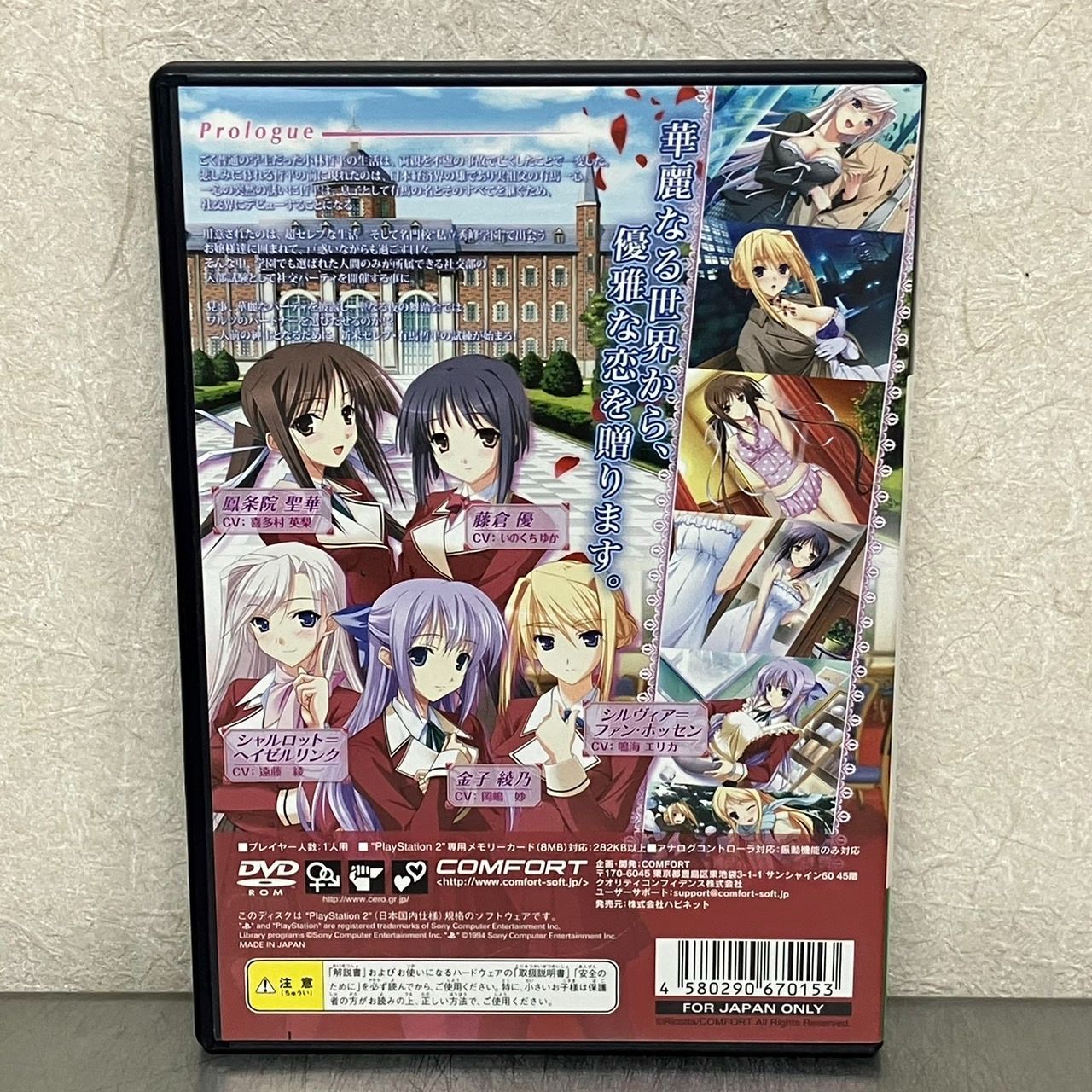 完品 プレイステーション 2 プレステ2 PS2 プリンセスラバー