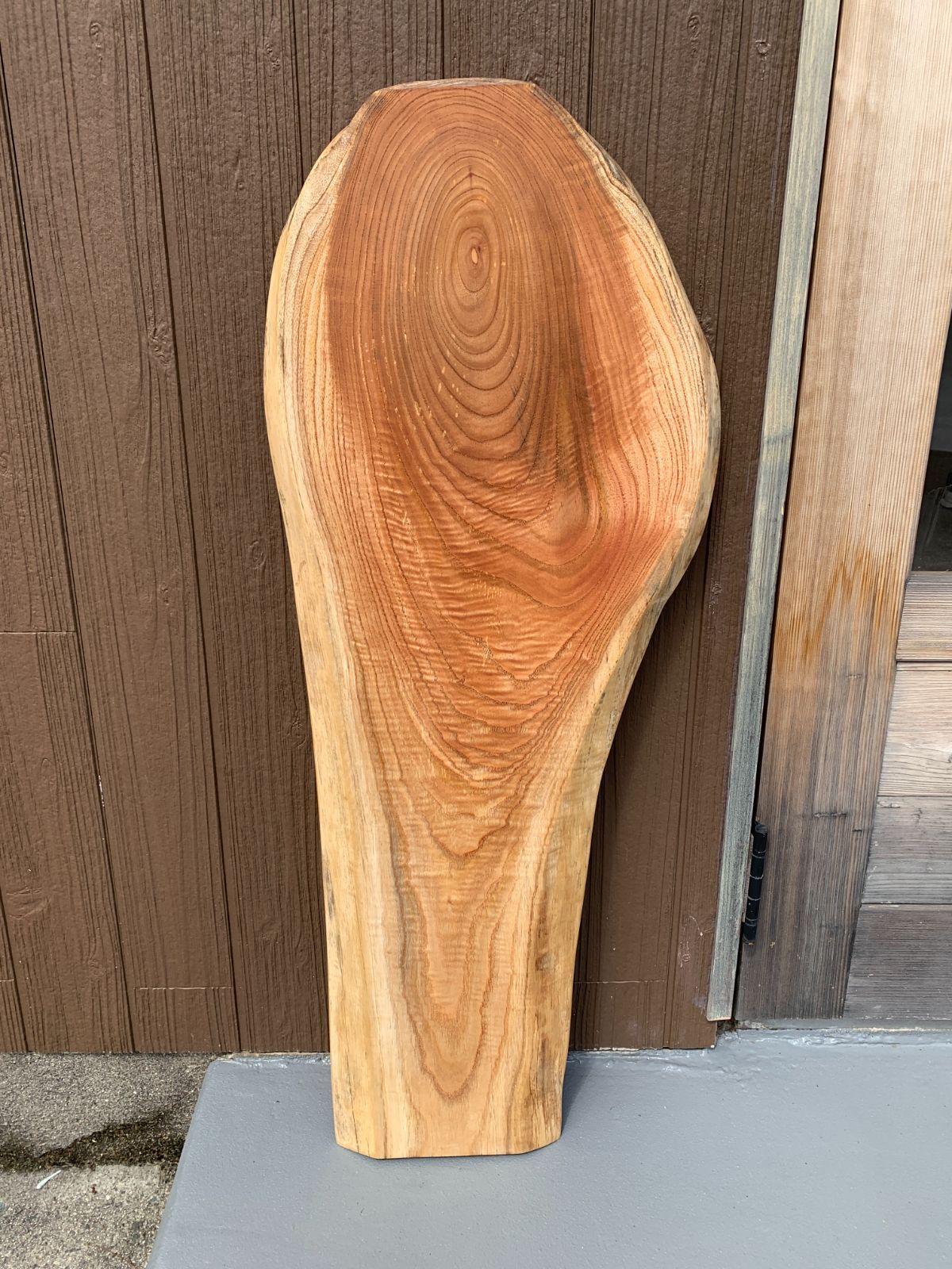 センダン 栴檀 一枚板 94cm 板材 木材 [463]