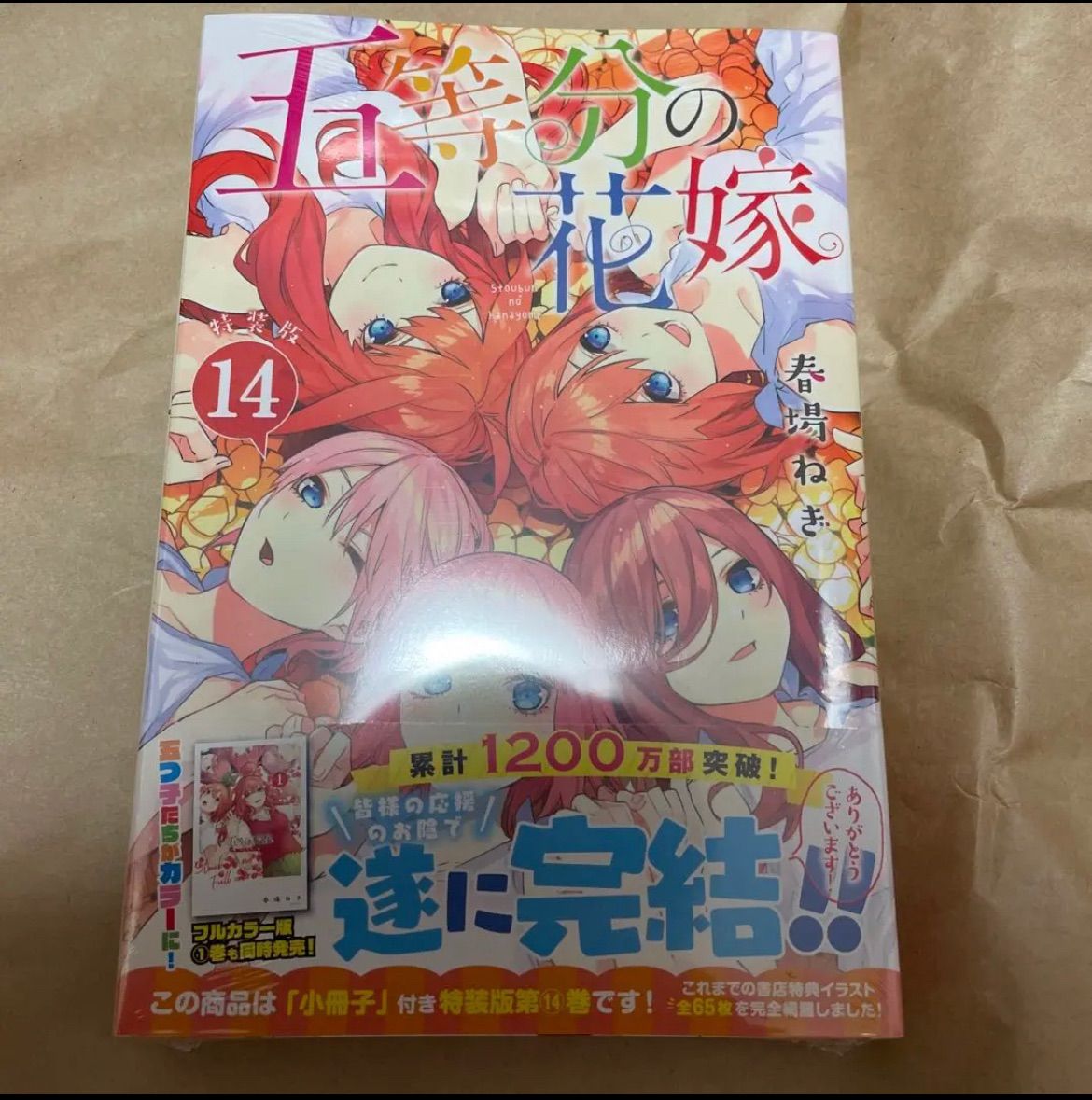 五等分の花嫁 14巻　特装版　ミニイラスト集付き