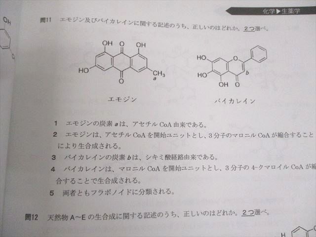 REC/大阪医科薬科大学 薬剤師国家試験対策 e-ラーニング特別視聴 レジュメセット 2024年合格目標 書き込みなし 088L3D REC/大阪医科薬科大学 薬剤師国家試験対策 e-ラーニング特別視聴