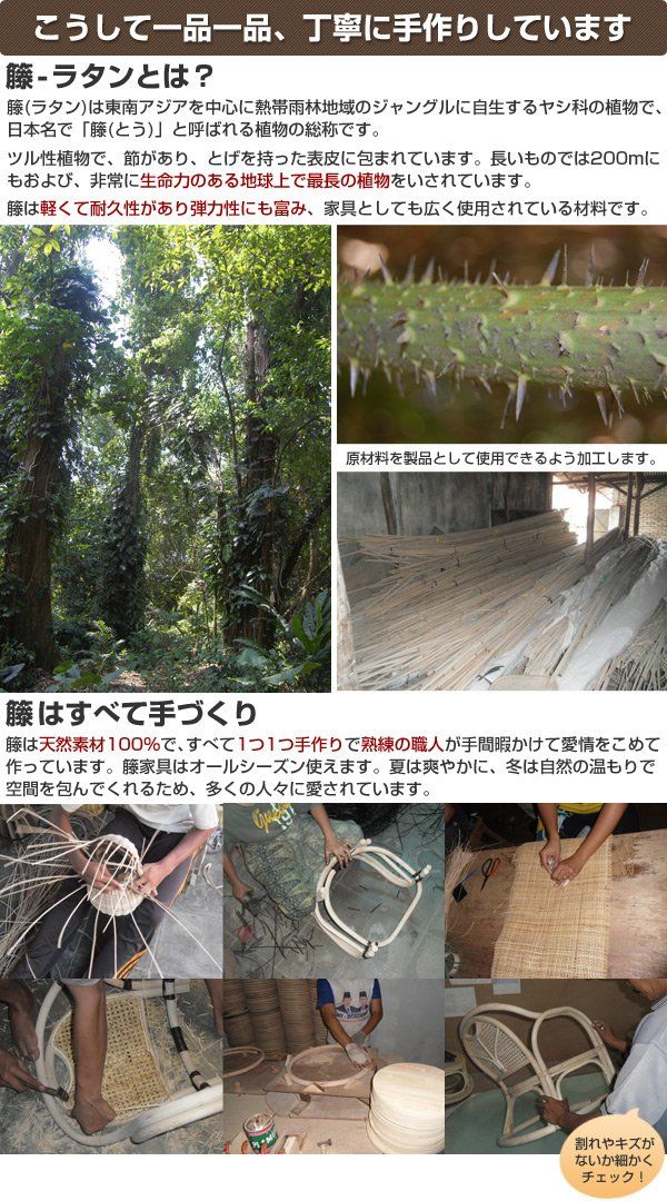 ブラウン TF20-531M