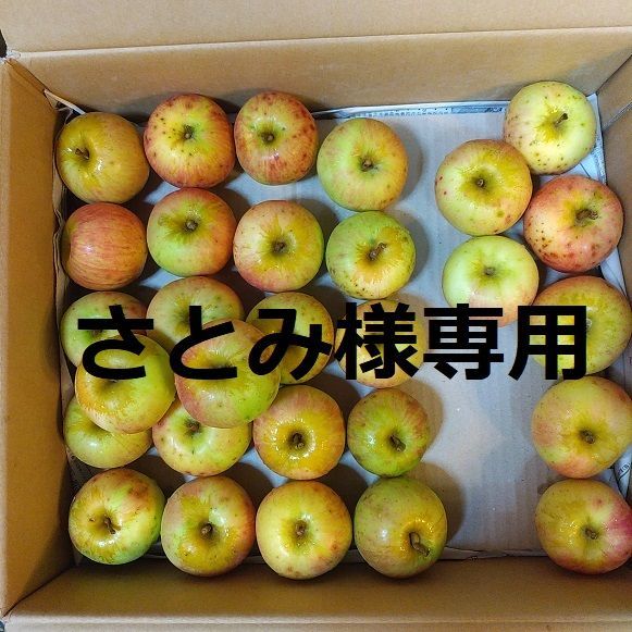 さとみ様専用 栽培期間中農薬不使用 りんご - メルカリ