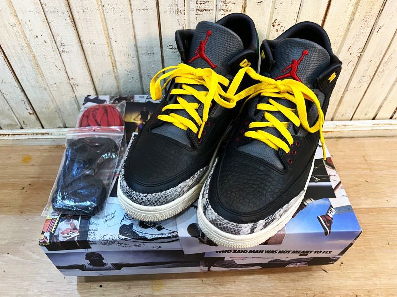 NIKE/ナイキ AIRJORDAN3 RETRO SE Animal Instinct エア
